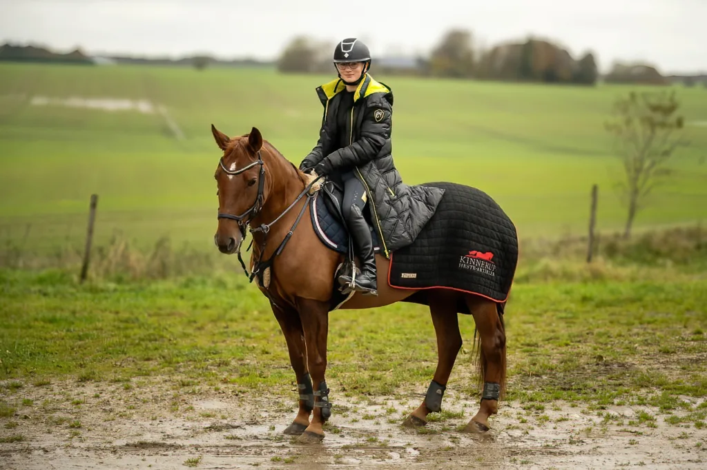 Fotografering af kæledyr